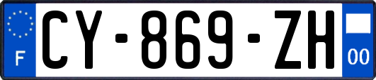 CY-869-ZH
