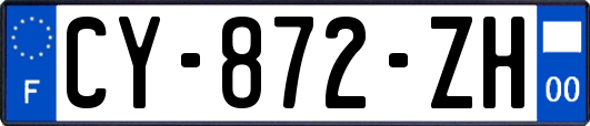 CY-872-ZH