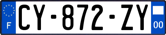 CY-872-ZY