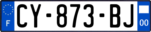 CY-873-BJ