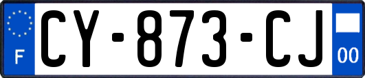 CY-873-CJ