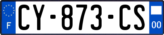 CY-873-CS