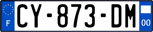 CY-873-DM