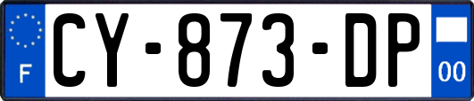 CY-873-DP