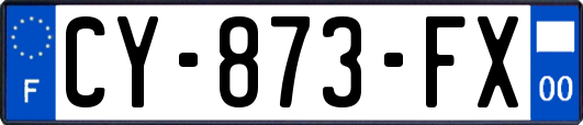 CY-873-FX