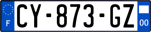 CY-873-GZ