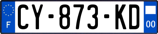 CY-873-KD