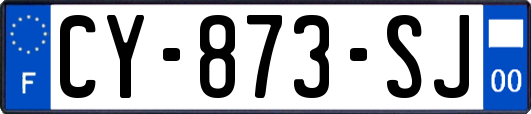 CY-873-SJ