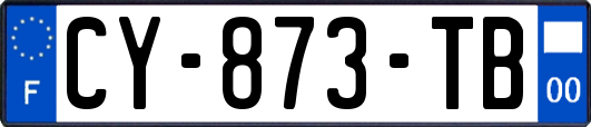 CY-873-TB