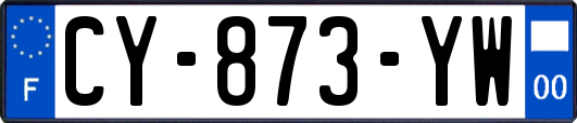 CY-873-YW