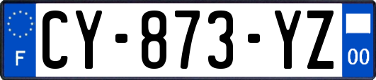 CY-873-YZ
