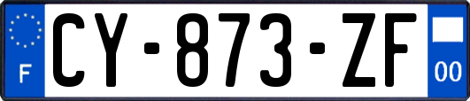 CY-873-ZF
