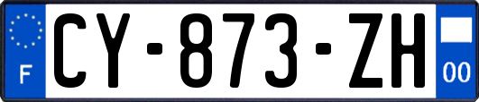 CY-873-ZH