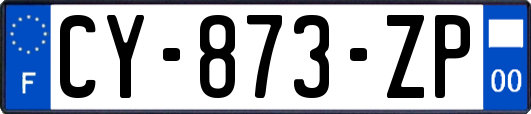 CY-873-ZP