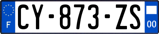 CY-873-ZS