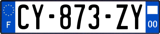 CY-873-ZY