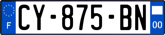 CY-875-BN
