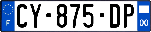 CY-875-DP