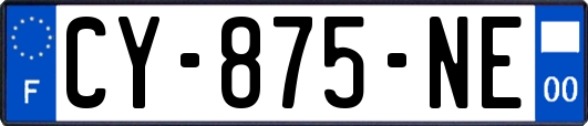 CY-875-NE