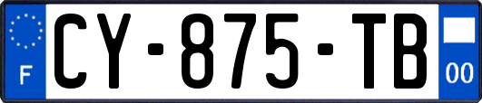 CY-875-TB