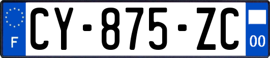 CY-875-ZC
