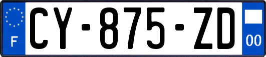 CY-875-ZD