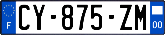 CY-875-ZM