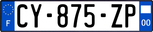 CY-875-ZP