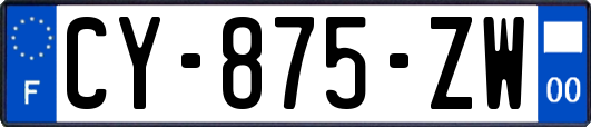 CY-875-ZW
