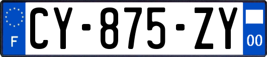 CY-875-ZY