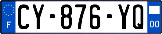 CY-876-YQ