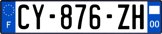 CY-876-ZH