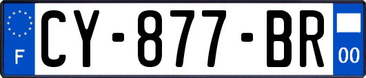 CY-877-BR