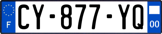 CY-877-YQ