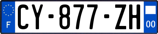 CY-877-ZH