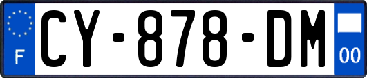 CY-878-DM
