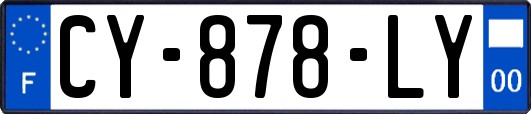 CY-878-LY