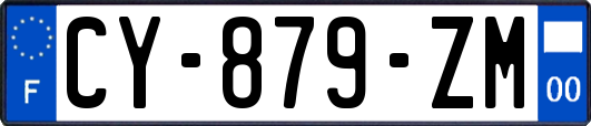 CY-879-ZM