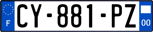 CY-881-PZ