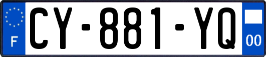 CY-881-YQ