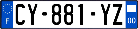 CY-881-YZ