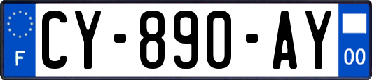 CY-890-AY