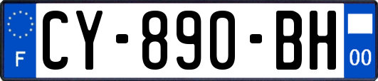 CY-890-BH