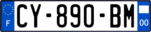 CY-890-BM