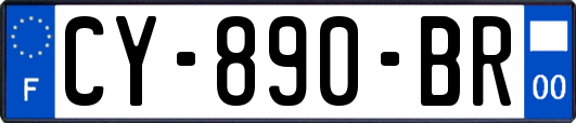 CY-890-BR