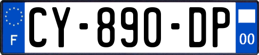 CY-890-DP