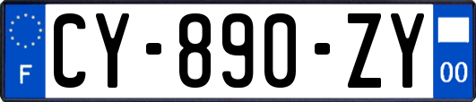 CY-890-ZY