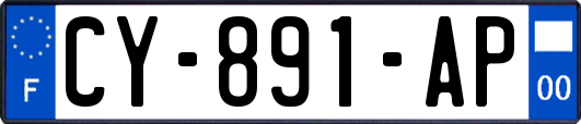 CY-891-AP