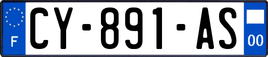 CY-891-AS