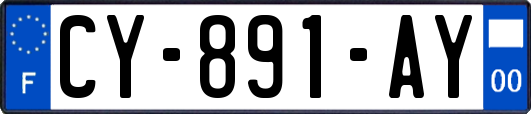 CY-891-AY